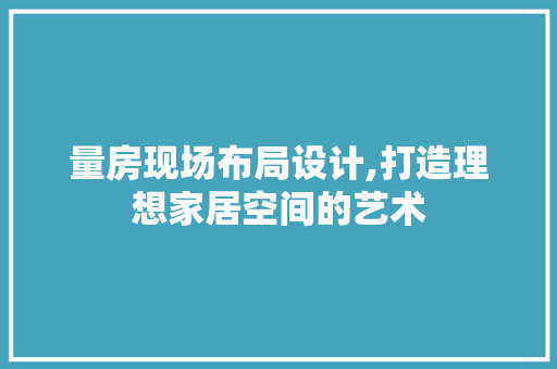 量房现场布局设计,打造理想家居空间的艺术