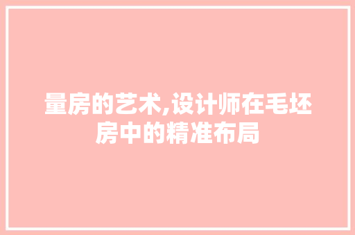 量房的艺术,设计师在毛坯房中的精准布局