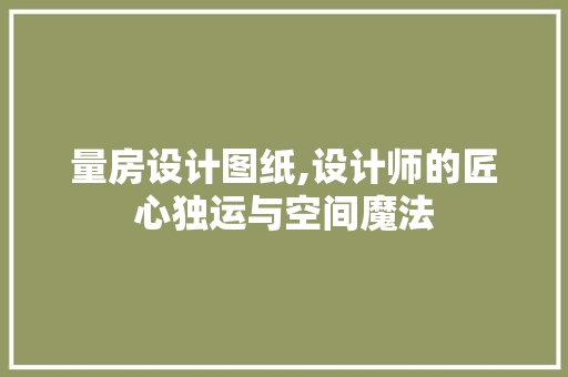 量房设计图纸,设计师的匠心独运与空间魔法