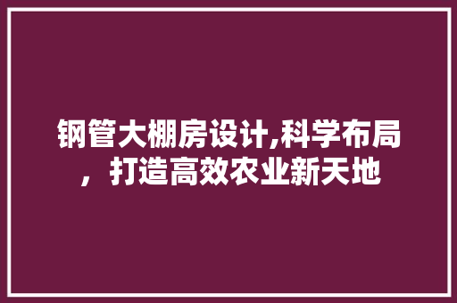 钢管大棚房设计,科学布局，打造高效农业新天地
