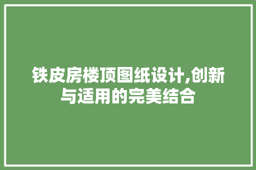 铁皮房楼顶图纸设计,创新与适用的完美结合