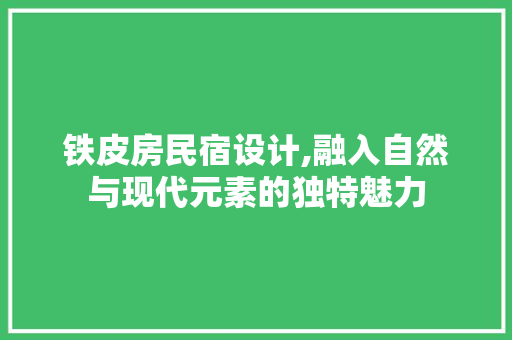 铁皮房民宿设计,融入自然与现代元素的独特魅力