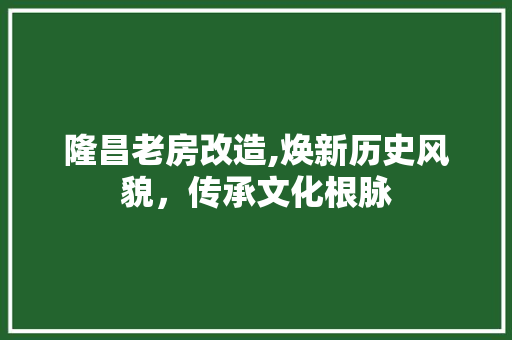 隆昌老房改造,焕新历史风貌，传承文化根脉