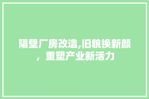 隔壁厂房改造,旧貌换新颜，重塑产业新活力