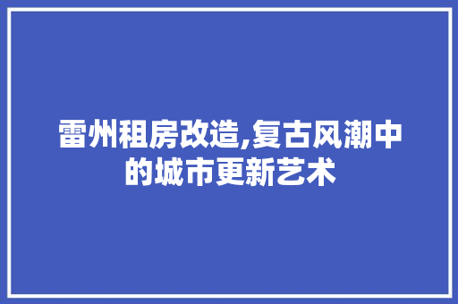 雷州租房改造,复古风潮中的城市更新艺术
