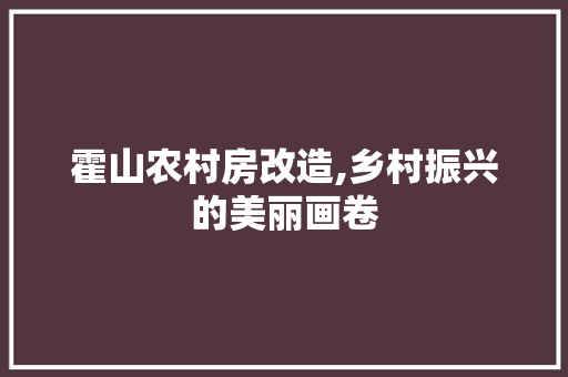 霍山农村房改造,乡村振兴的美丽画卷