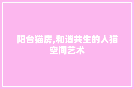 阳台猫房,和谐共生的人猫空间艺术