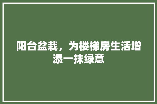 阳台盆栽，为楼梯房生活增添一抹绿意