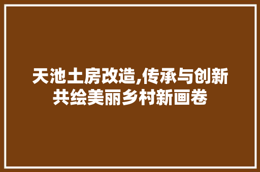 天池土房改造,传承与创新共绘美丽乡村新画卷