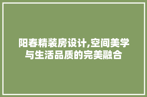 阳春精装房设计,空间美学与生活品质的完美融合