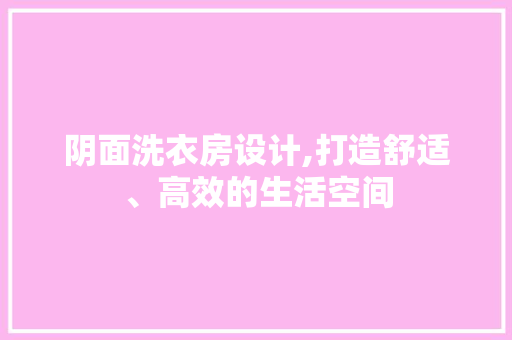 阴面洗衣房设计,打造舒适、高效的生活空间