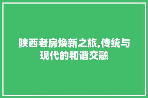 陕西老房焕新之旅,传统与现代的和谐交融