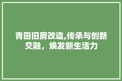 青田旧房改造,传承与创新交融，焕发新生活力
