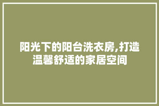 阳光下的阳台洗衣房,打造温馨舒适的家居空间