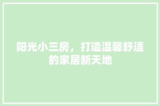 阳光小三房，打造温馨舒适的家居新天地