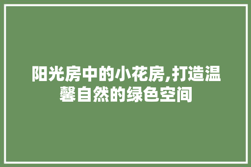 阳光房中的小花房,打造温馨自然的绿色空间