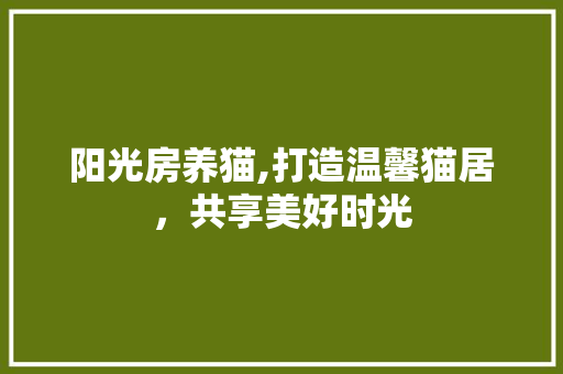 阳光房养猫,打造温馨猫居，共享美好时光