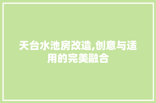 天台水池房改造,创意与适用的完美融合