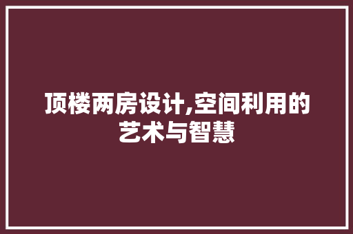 顶楼两房设计,空间利用的艺术与智慧