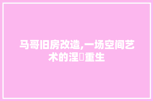 马哥旧房改造,一场空间艺术的涅槃重生