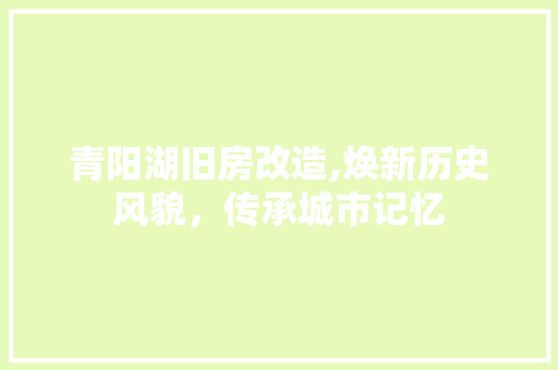 青阳湖旧房改造,焕新历史风貌，传承城市记忆