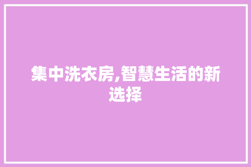 集中洗衣房,智慧生活的新选择