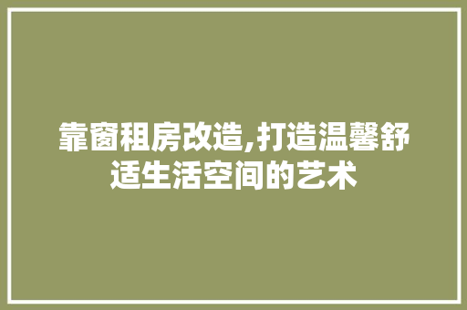 靠窗租房改造,打造温馨舒适生活空间的艺术