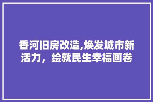 香河旧房改造,焕发城市新活力，绘就民生幸福画卷