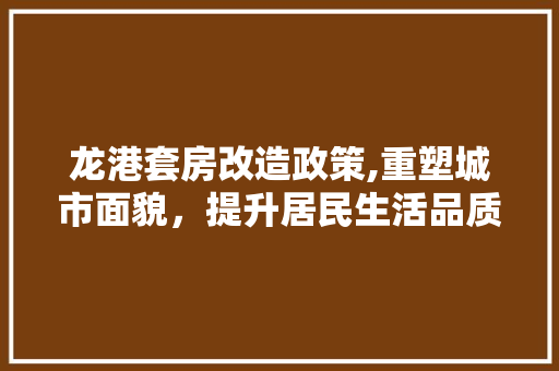 龙港套房改造政策,重塑城市面貌，提升居民生活品质