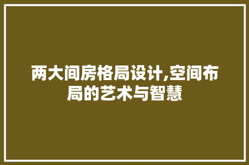 两大间房格局设计,空间布局的艺术与智慧