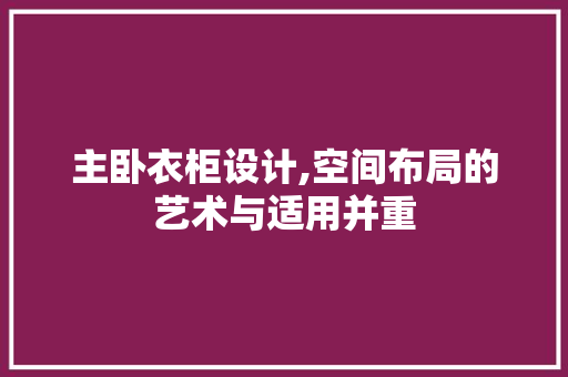 主卧衣柜设计,空间布局的艺术与适用并重