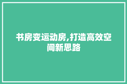 书房变运动房,打造高效空间新思路