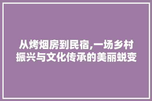 从烤烟房到民宿,一场乡村振兴与文化传承的美丽蜕变
