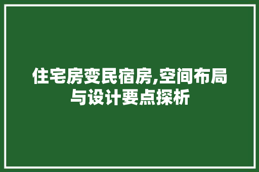 住宅房变民宿房,空间布局与设计要点探析