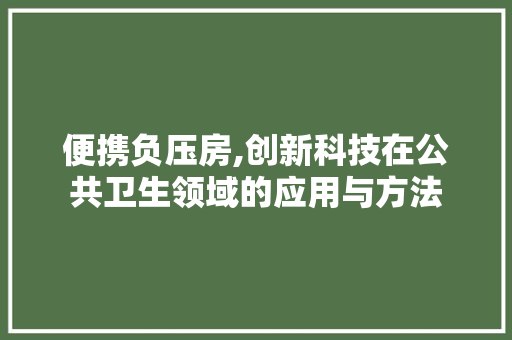 便携负压房,创新科技在公共卫生领域的应用与方法