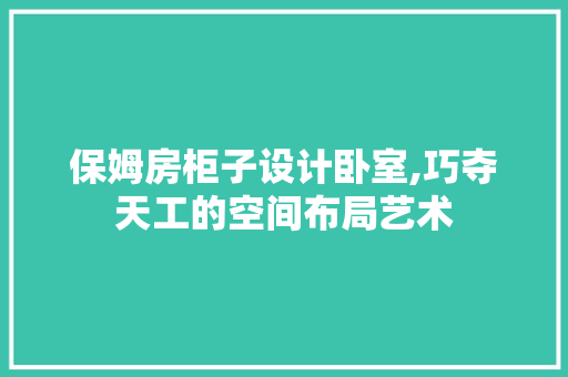 保姆房柜子设计卧室,巧夺天工的空间布局艺术