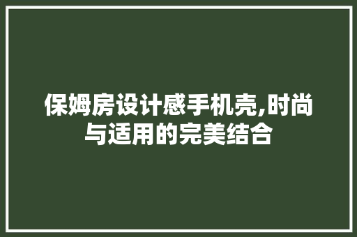 保姆房设计感手机壳,时尚与适用的完美结合