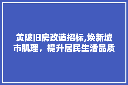 黄陂旧房改造招标,焕新城市肌理，提升居民生活品质