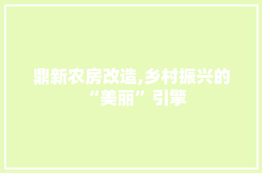 鼎新农房改造,乡村振兴的“美丽”引擎