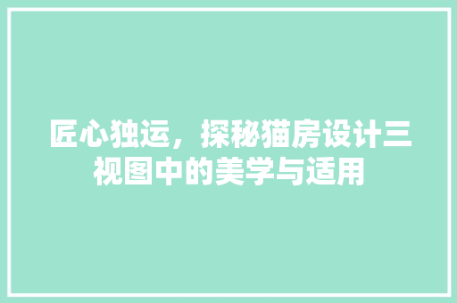 匠心独运，探秘猫房设计三视图中的美学与适用