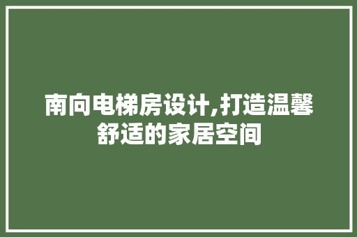 南向电梯房设计,打造温馨舒适的家居空间