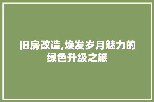 旧房改造,焕发岁月魅力的绿色升级之旅