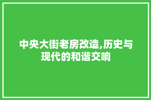中央大街老房改造,历史与现代的和谐交响