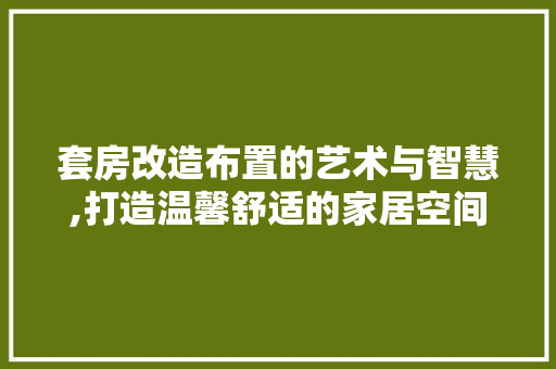 套房改造布置的艺术与智慧,打造温馨舒适的家居空间