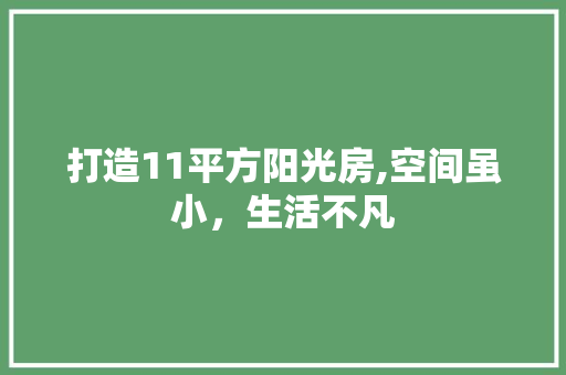 打造11平方阳光房,空间虽小，生活不凡