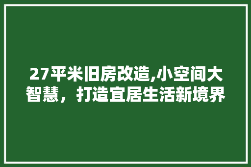 27平米旧房改造,小空间大智慧，打造宜居生活新境界