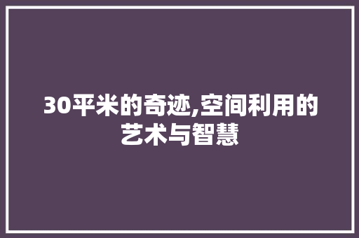 30平米的奇迹,空间利用的艺术与智慧