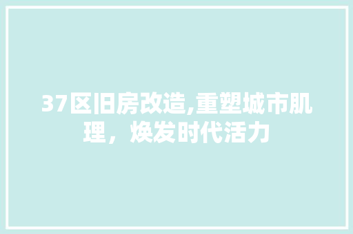 37区旧房改造,重塑城市肌理，焕发时代活力