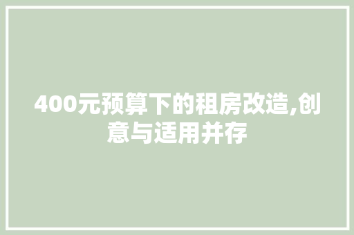 400元预算下的租房改造,创意与适用并存