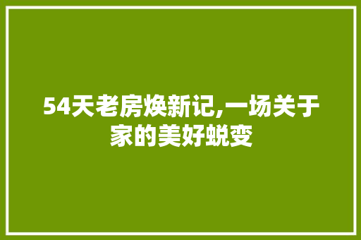54天老房焕新记,一场关于家的美好蜕变